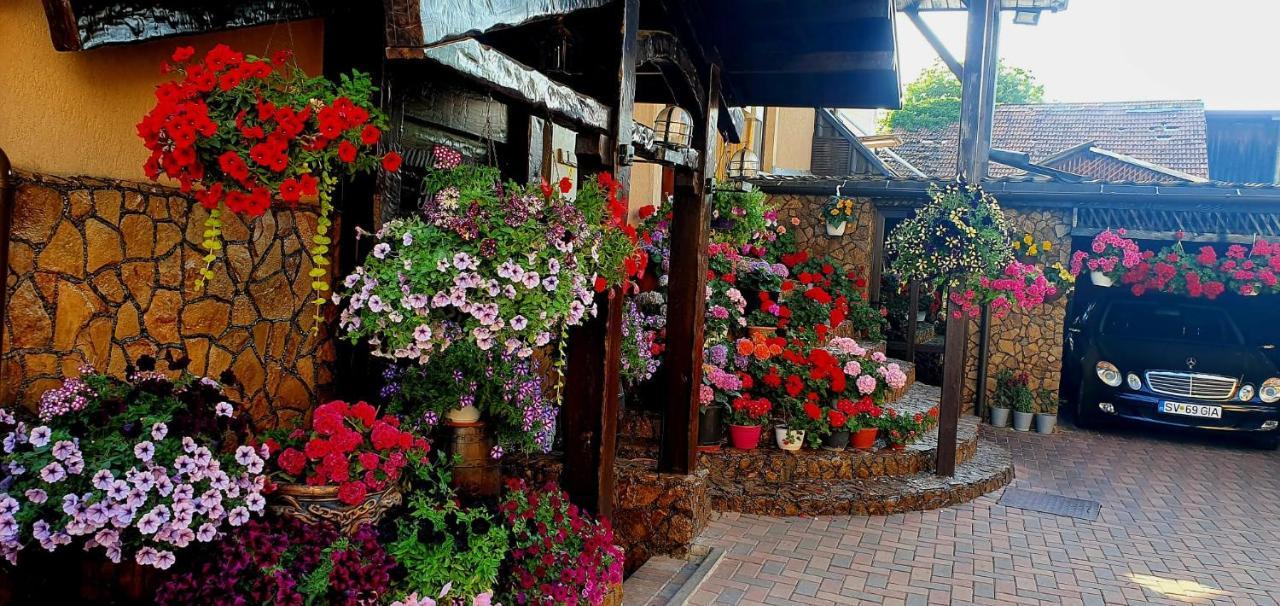 Casa Domneasca Rarau Hotel Campulung Moldovenesc Ngoại thất bức ảnh