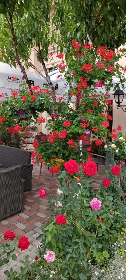 Casa Domneasca Rarau Hotel Campulung Moldovenesc Ngoại thất bức ảnh