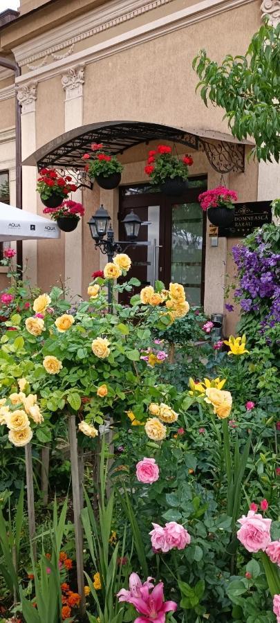 Casa Domneasca Rarau Hotel Campulung Moldovenesc Ngoại thất bức ảnh